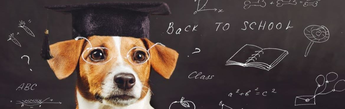 Reading Tales to Wagging Tails