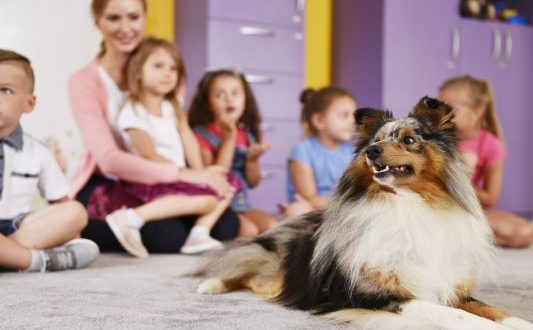 Dog in Classroom
